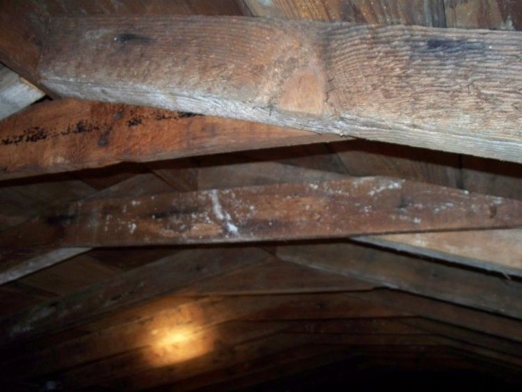 local contractor local contractor